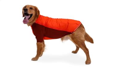 Ruffwear POWDER HOUND™ JACKET Persimmon Orange Gr. XL